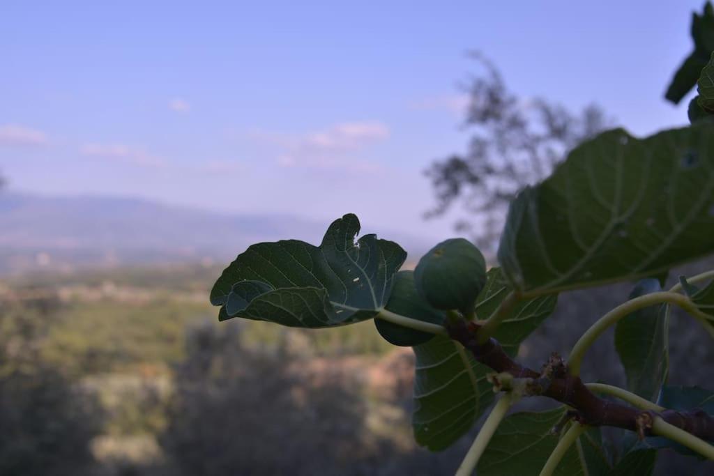 Monolocale, Letto Matrimoniale, La Cantina Vivajo Exteriér fotografie